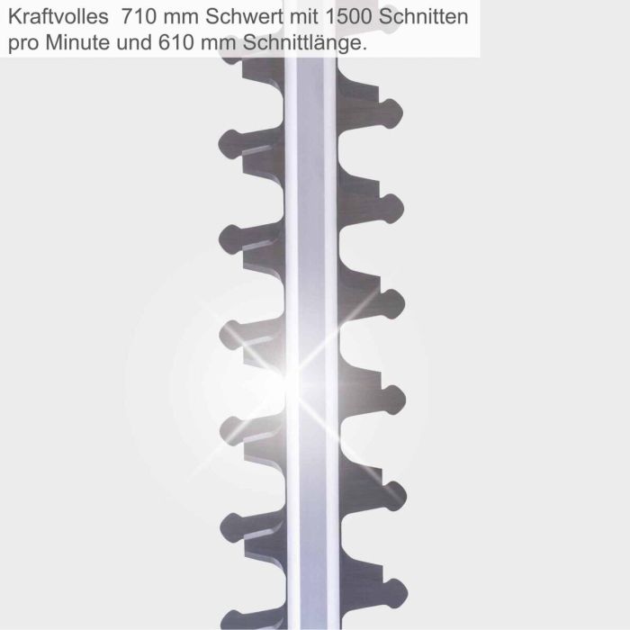 Taille-haie Scheppach 1 Taille-haie Scheppach 1