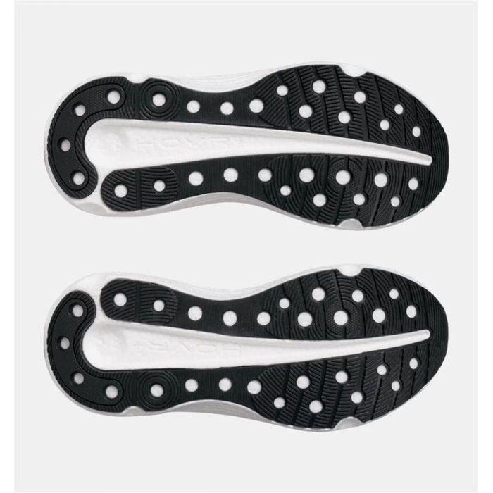 Chaussures de Running pour Adultes Under Armour Infinite Elite 2 Noir 39 3 Chaussures de Running pour Adultes Under Armour Infinite Elite 2 Noir 39 3