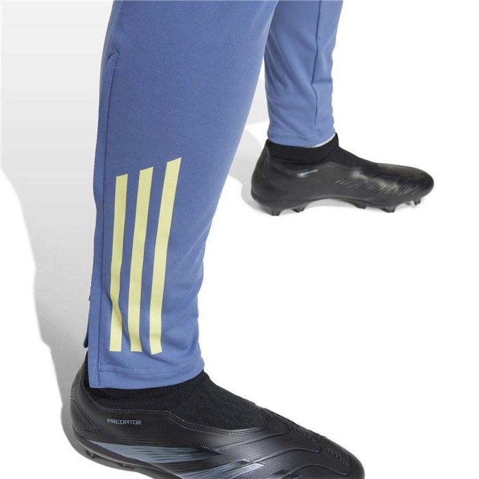 Jogging d'Entraînement de Football pour Adultes Adidas Ajax Amsterdam 24/25 Tiro24 Bleu Homme 1