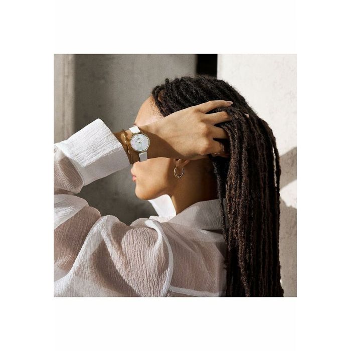 Montre Femme Skagen SKW3138 1