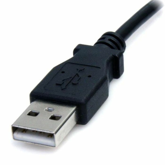Câble USB Startech USB2TYPEM2M Noir 2