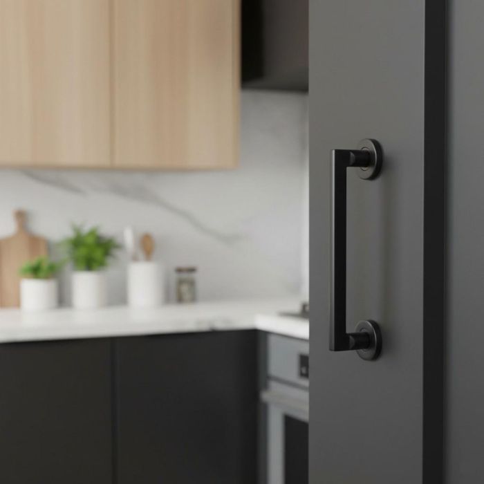 Manillon Inoxidable Rental C200 Ø50 Negro Con Rosetas D50Mm. Herrajes Alk 1