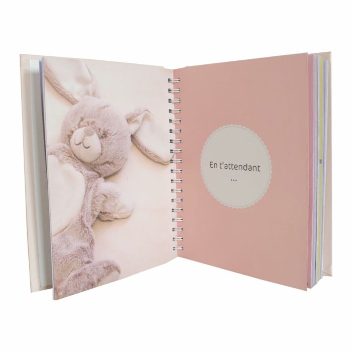 Album Domiva Mes 5 premieres annees 4