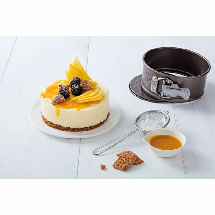 Moule amovible Pyrex Acier au carbone 3