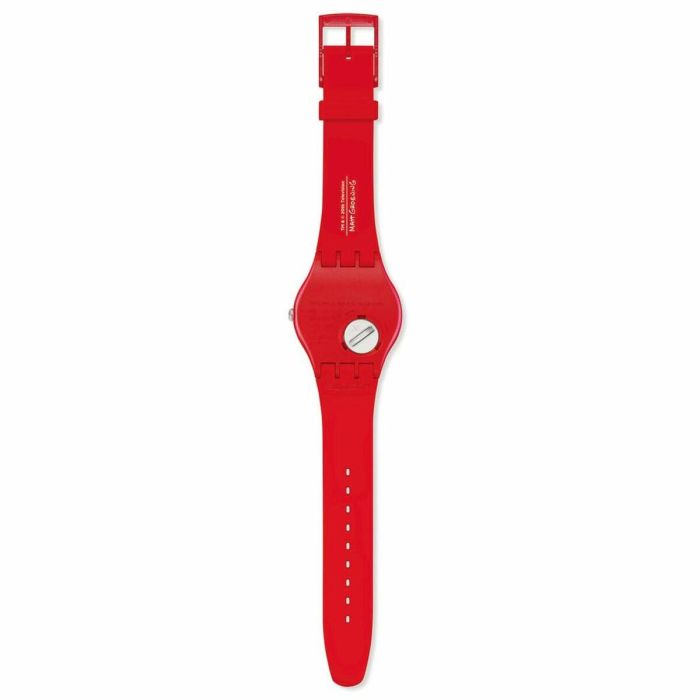 Montre Unisexe Swatch SO29Z120 2