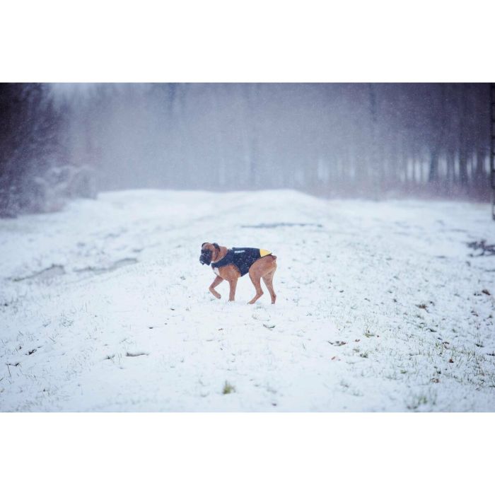 Harnais pour Chien Julius K9 IDC L/XL 2 11 Harnais pour Chien Julius K9 IDC L/XL 2 11