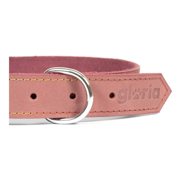 Collier pour Chien Gloria Oasis Rose (55 x 2,5 cm) 2