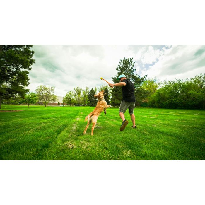 Lanceur de Balles pour Chiens Hunter Jaune Orange Caoutchouc Ballon 3