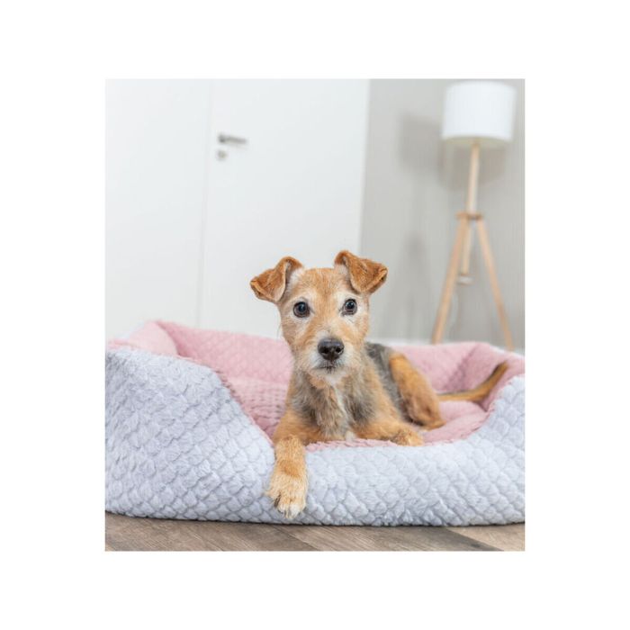 Lit pour chien Trixie Kaline Mio Gris Rose foncé 80 x 65 cm 5 Lit pour chien Trixie Kaline Mio Gris Rose foncé 80 x 65 cm 5