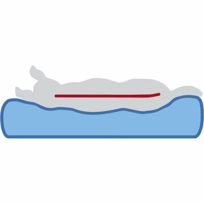 Matelas Trixie Samoa Vital Gris foncé 100 × 70 CM 1