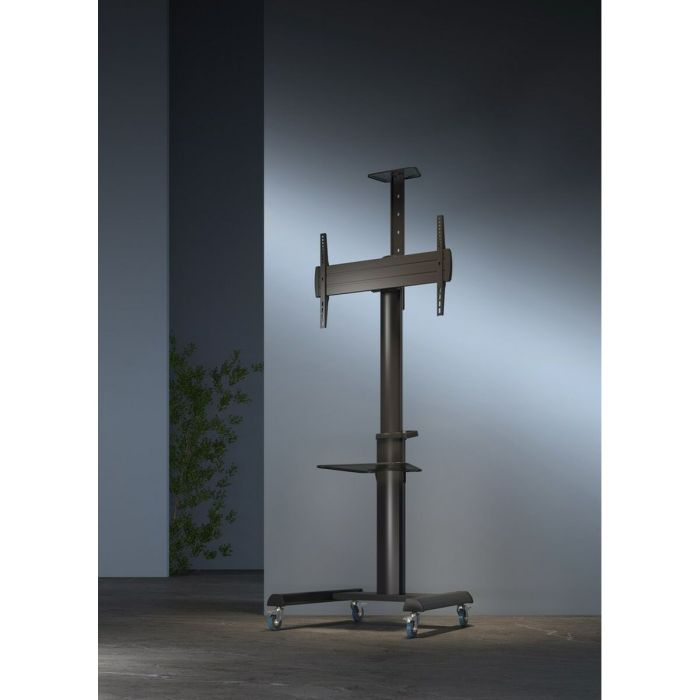 Support de table d'écran GEMBIRD TVS-70T-02 70" 37" 5