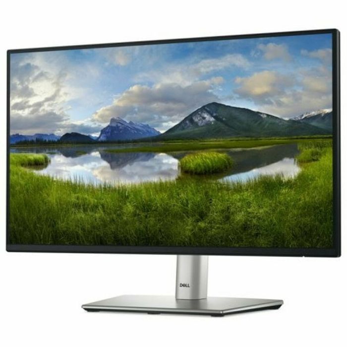 Écran Dell DELL-P2225H Full HD 21,5" 6