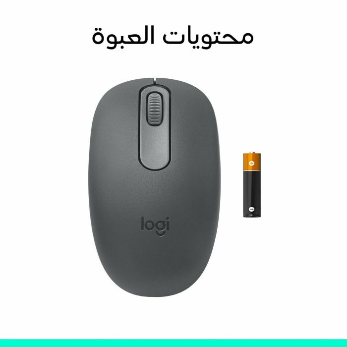 Souris Logitech 910-007459 Graphite 1000 dpi 2