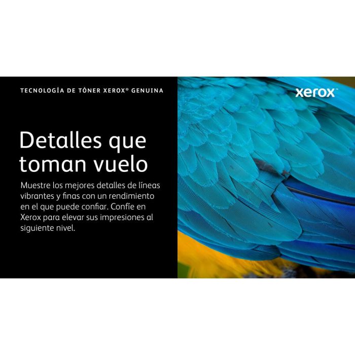 Toner Xerox 006R04627 Jaune Noir (1 Unité) 9