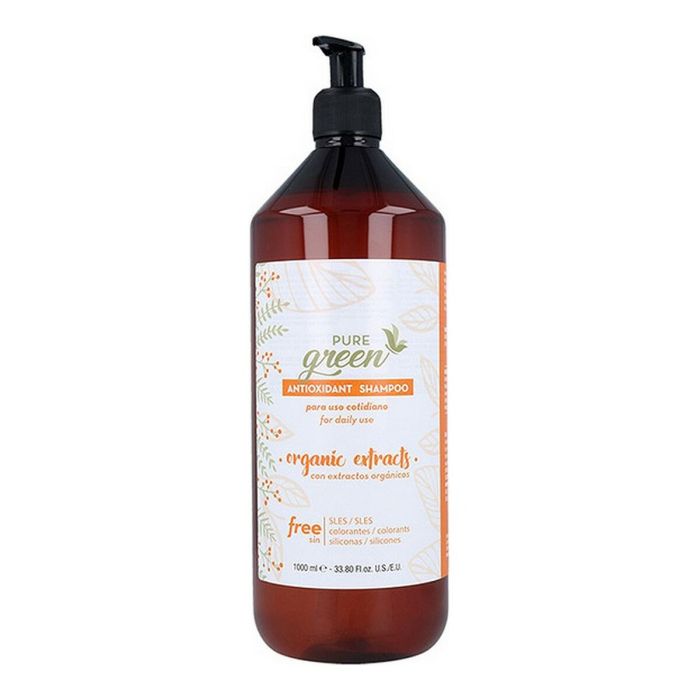 Shampooing Antioxidant Pure Green 1 Shampooing Antioxidant Pure Green 1