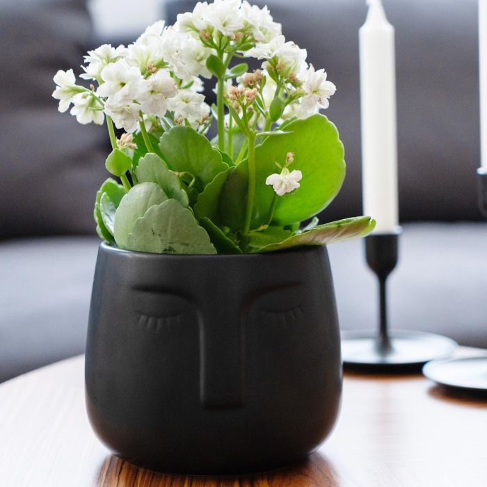 Macetero Caras Cerámico Moa Vinthera 13,5x13 cm (6 Unidades) 2 Macetero Caras Cerámico Moa Vinthera 13,5x13 cm (6 Unidades) 2