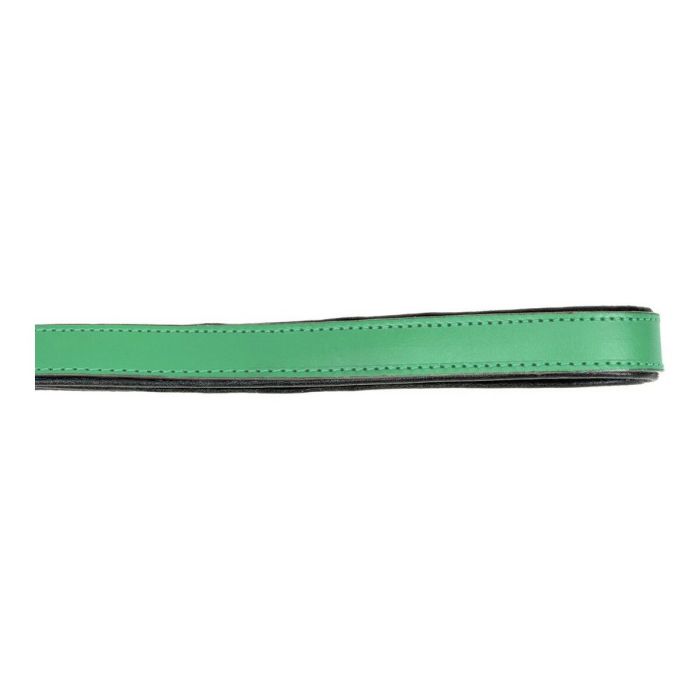 Laisse pour Chien Gloria 1.8 x 100 cm Vert 2 Laisse pour Chien Gloria 1.8 x 100 cm Vert 2