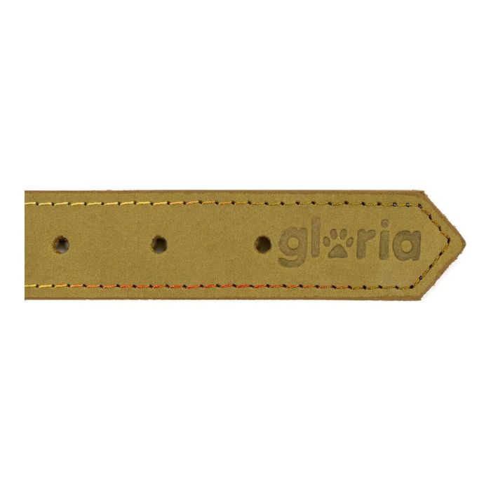 Collier pour Chien Gloria Oasis Vert (60 x 3 cm) 1