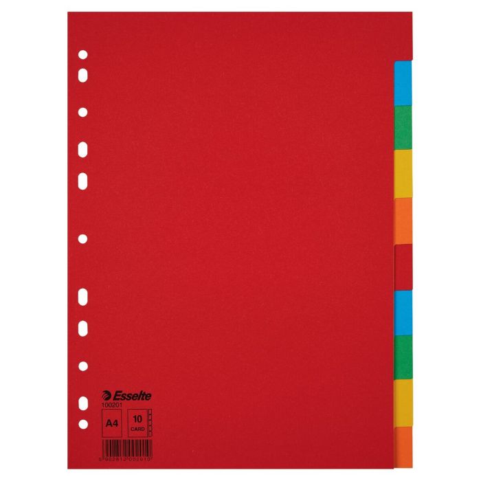 Séparateurs Esselte Multicouleur Carton (10 Unités) 1