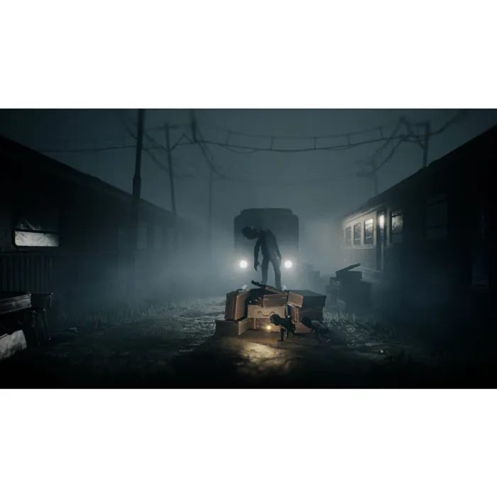 Just For Games Reanimal - Deluxe Edition - Jeu vidéo d'aventure et d'exploration de la nature pour Nintendo Switch avec contenu exclusif