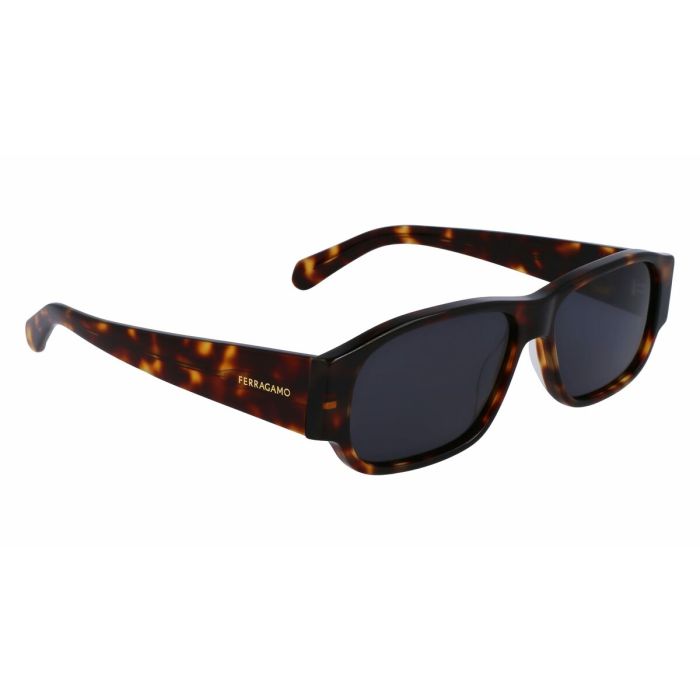 Lunettes de soleil Homme Salvatore Ferragamo SF1109S-5714242 ø 57 mm 1 Lunettes de soleil Homme Salvatore Ferragamo SF1109S-5714242 ø 57 mm 1