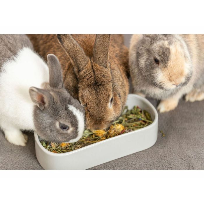 Mangeoir pour animaux Trixie 600 ml 6