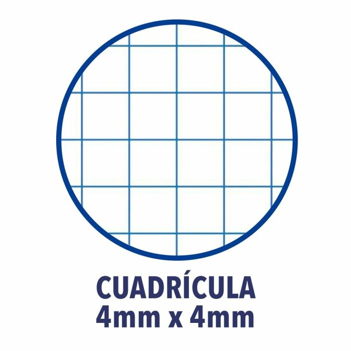 Cahier ENRI A4 Bleu (10 Unités) 2