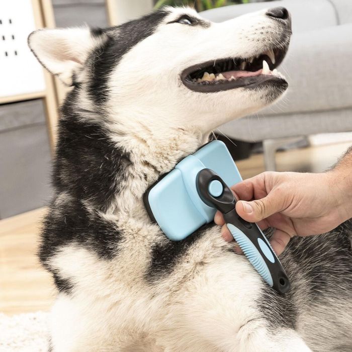 Brosse pour Animaux de Compagnie avec Dents Rétractables Groombot InnovaGoods