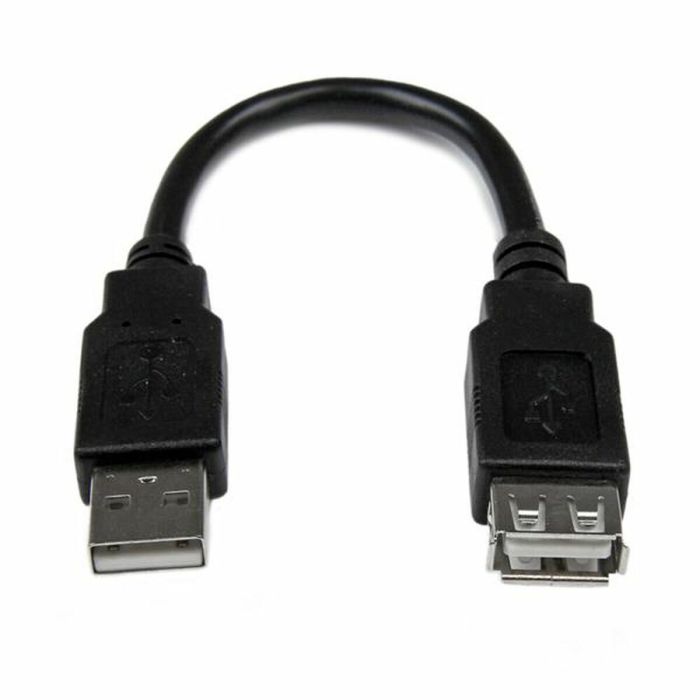 Câble USB Startech USBEXTAA6IN USB A Noir