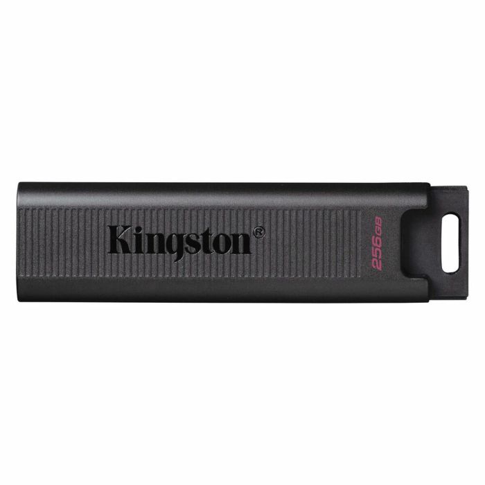 Clé USB Kingston DTMAX/256GB Noir 256 GB (1 Unité) 2