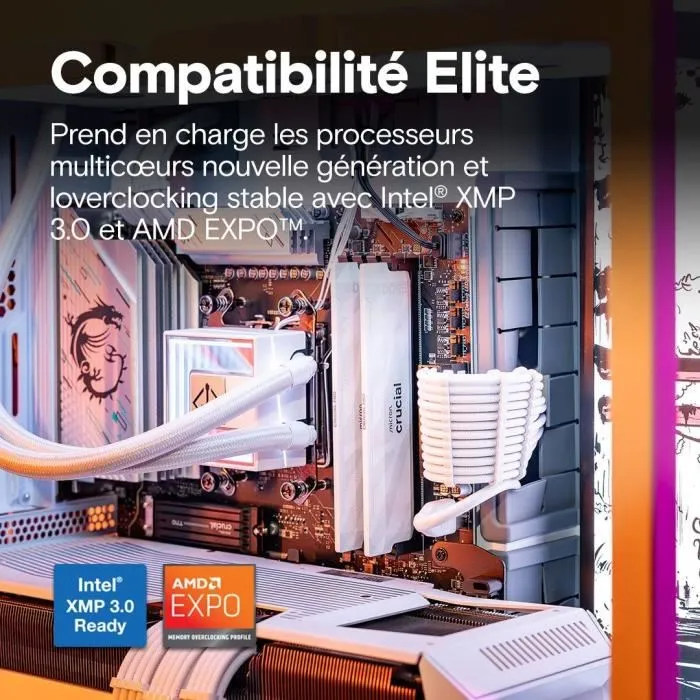 Crucial CP2K16G64C32U5W - Kit mémoire gamer DDR5 Pro OC 32 Go (2 x 16 Go) 6400 MT/s CL32 UDIMM avec dissipateur thermique - Blanc Crucial CP2K16G64C32U5W - Kit mémoire gamer DDR5 Pro OC 32 Go (2 x 16 Go) 6400 MT/s CL32 UDIMM avec dissipateur thermique - Blanc