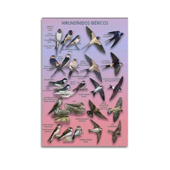 Écran Samsung LS37D700EAUXEN 4K Ultra HD 37" 6 Écran Samsung LS37D700EAUXEN 4K Ultra HD 37" 6