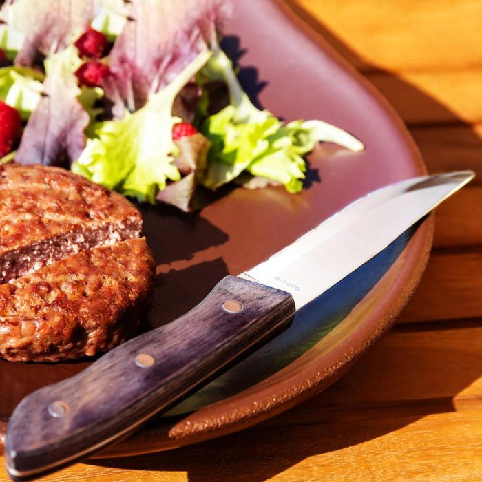 Cuchillo Chuletero Acero Inoxidable Hercule Amefa 25 cm 2