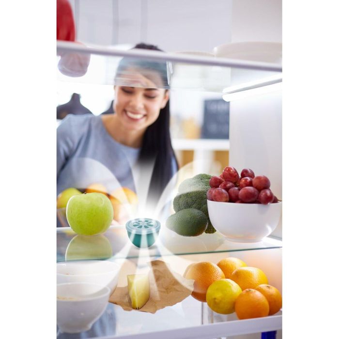 Eliminateur d'odeurs Meliconi 621030 Vert 3