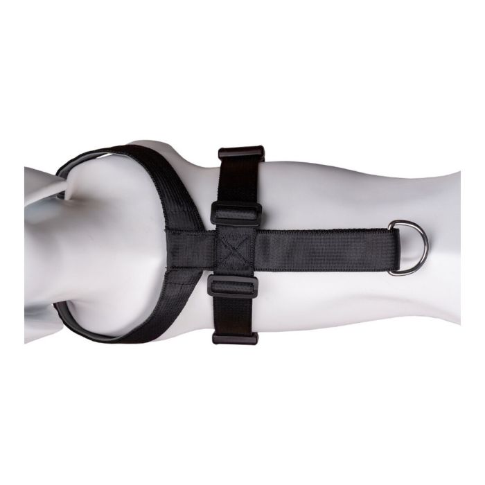 Harnais pour Chien Company of Animals CarSafe Noir L 2