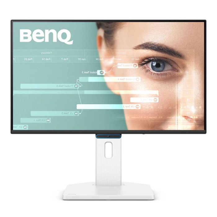 Écran BenQ GW2490TC 24" Full HD 2
