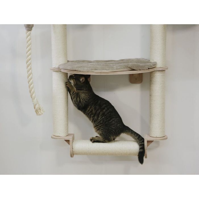 Grattoir pour Chats Kerbl 4 Grattoir pour Chats Kerbl 4