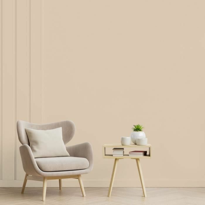 Ripolin Peinture Monocouche Lin Mat 2.5L - Pour murs, boiseries et radiateurs - Haute couvrance - Esprit Deco Ripolin Peinture Monocouche Lin Mat 2.5L - Pour murs, boiseries et radiateurs - Haute couvrance - Esprit Deco