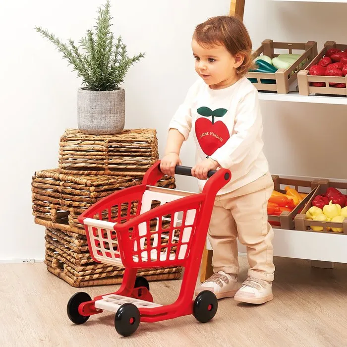 Ecoiffier Chariot de supermarché complet avec 11 accessoires - ECO3280250012252 - À partir de 18 mois 2