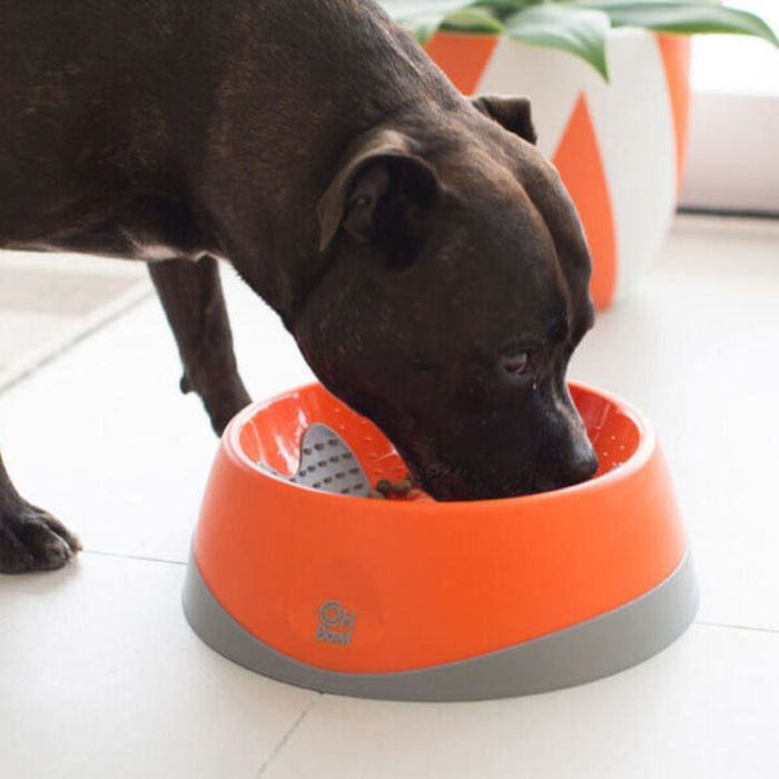 Mangeoire pour chiens Lickimat Oh Bowl Orange 2 Mangeoire pour chiens Lickimat Oh Bowl Orange 2