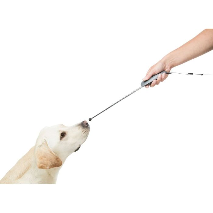 Collier pour Chien Trixie Rustic Brun foncé S/M 34-40 cm 2