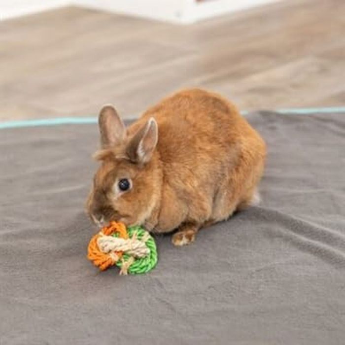 Jouet pour chien Trixie Ø 6 × 15 CM 1 Jouet pour chien Trixie Ø 6 × 15 CM 1