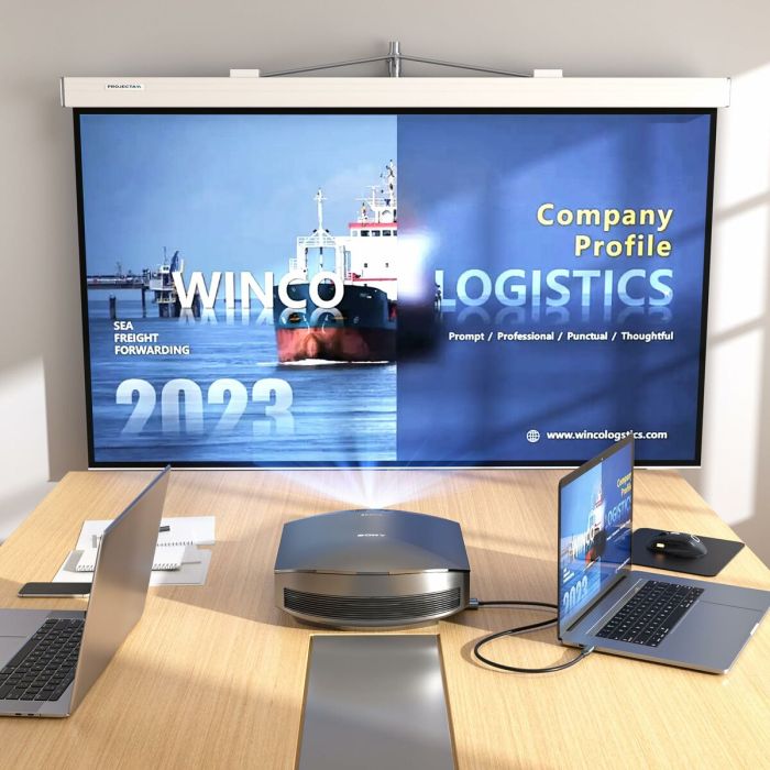 Câble USB-C vers HDMI Silver HT LOGAN Noir 1