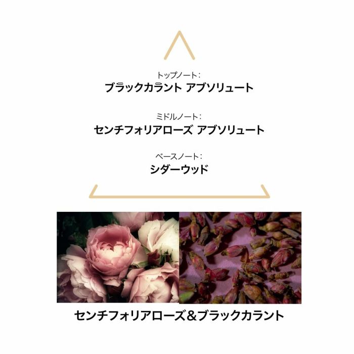 Parfum Femme Le Couvent des Minimes EDP 3