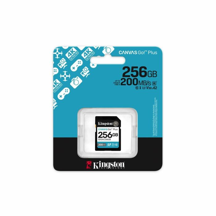 Carte Mémoire Micro SD avec Adaptateur Kingston SDG4/256GB 256 GB 2
