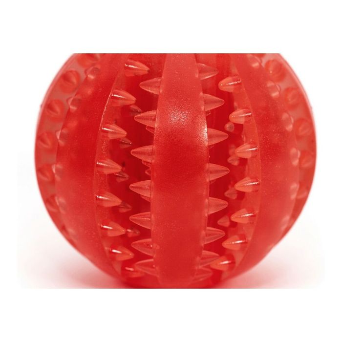 Jouet pour chien Gloria Soins dentaires TPR Assortiment de couleurs (6 cm) 11