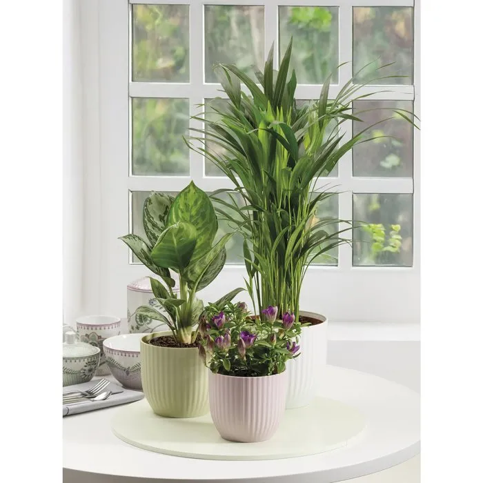 Deroma 231 - Pot de fleurs rond, 27 cm de diametre, 10 litres, couleur rose - Design elegant et contemporain pour interieur et exterieur