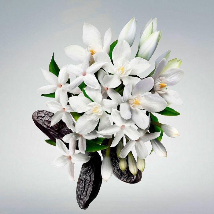 Carolina Herrera Huile Pour Les Jambes Good Girl 150 mL 1