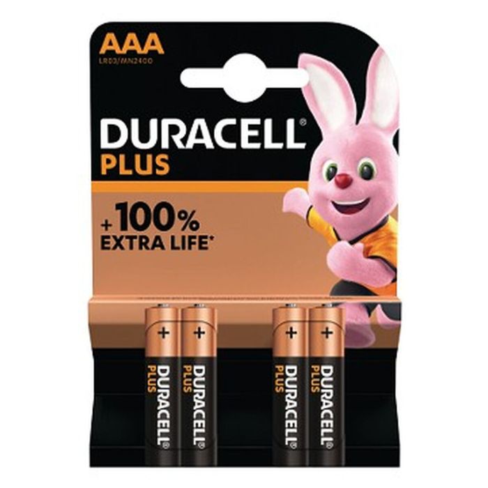 Piles Rechargeables DURACELL