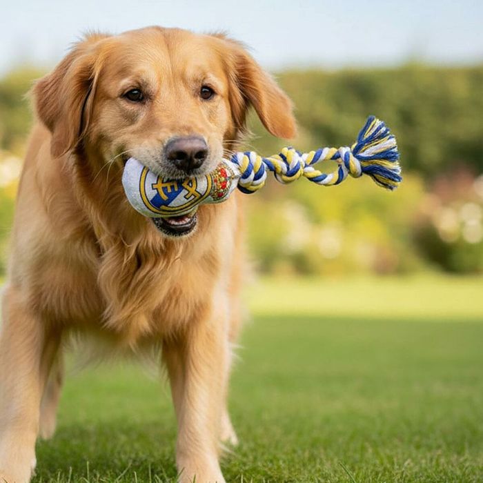 Jouet pour chien Real Madrid C.F. 15 x 33 x 10 cm 4